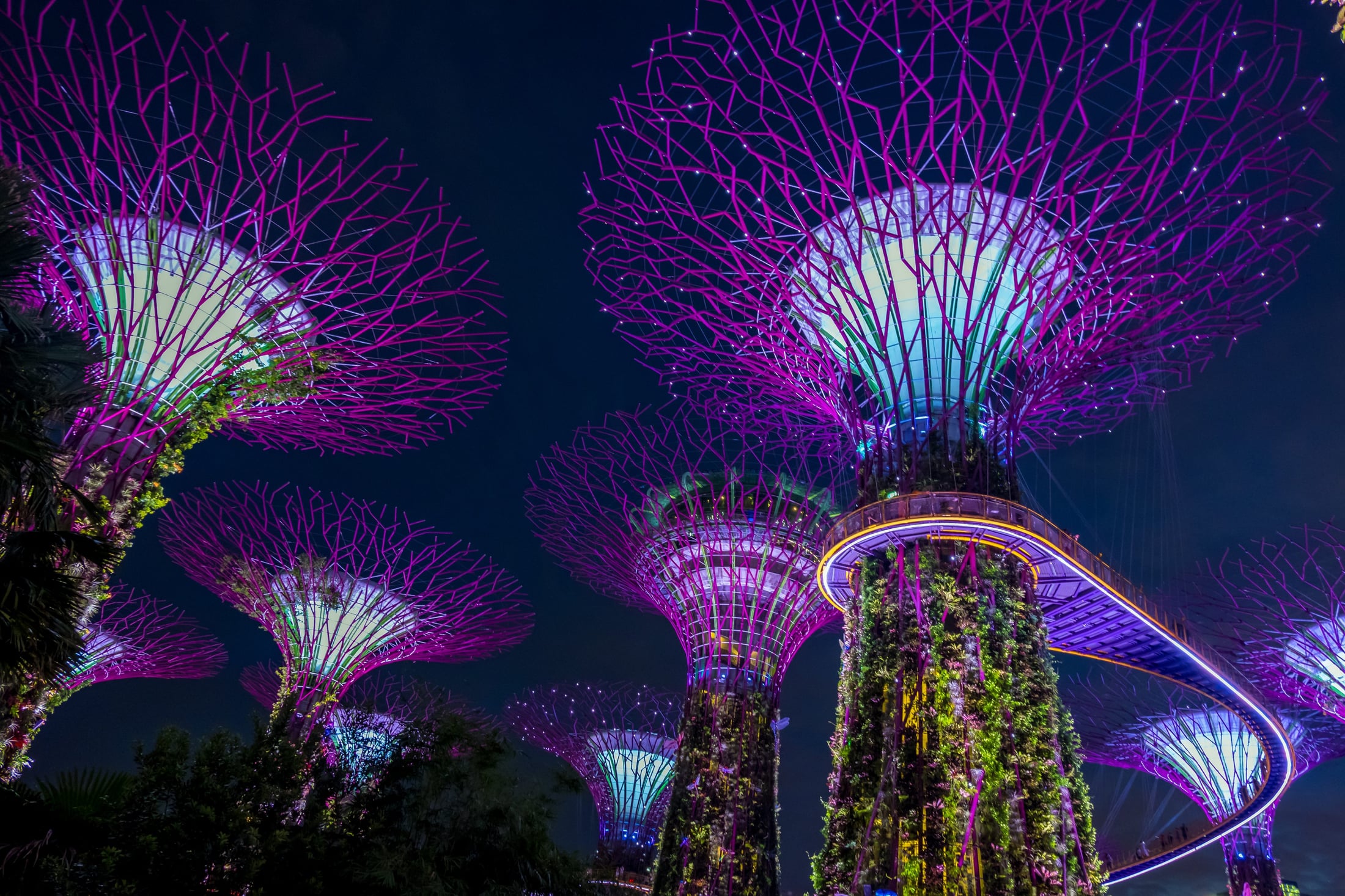 Singapore Hotels report cover